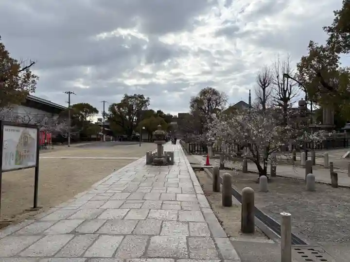 四天王寺(大阪府)