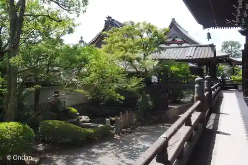 妙顯寺（妙顕寺）(京都府)