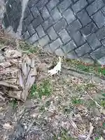 稲荷神社(野田町)(栃木県)