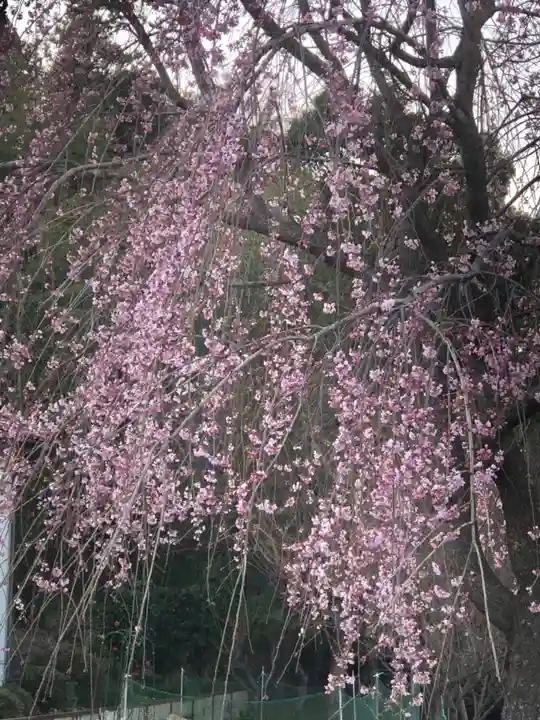大生郷天満宮の自然