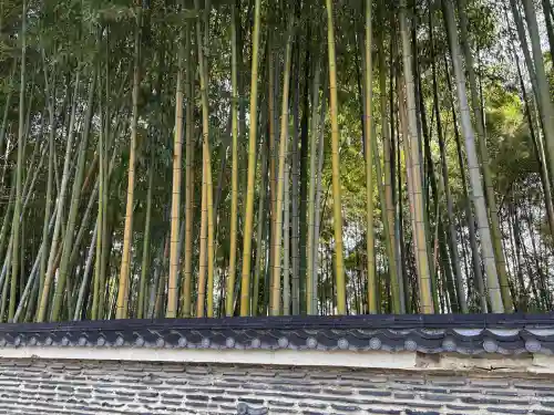 今宮神社の{uncategorized: "未分類", other: "その他", undefined: "問題あり", building: "その他建物", grave: "お墓", sacred_gate: "鳥居", guardian: "狛犬", statue: "像", buddha: "仏像", history: "歴史", nature: "自然", garden: "庭園", animal: "動物", pagoda: "塔", temizu: "手水舎", mountain_gate: "山門・神門", sanctuary: "本殿・本堂", subordinate: "末社・摂社", art: "芸術", scenery: "景色", jizo: "地蔵", ema: "絵馬", goshuin: "御朱印", omikuji: "おみくじ", items: "授与品その他", amulet: "お守り", goshuincho: "御朱印帳", eats: "食事", festival: "お祭り", votive_dance: "神楽", shichigosan: "七五三参", wedding: "結婚式", experience: "体験その他", initially: "初詣", around: "周辺", anti_infection: "感染症対策"}