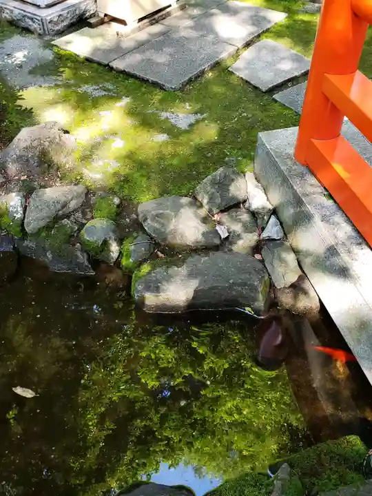 熊野神社(東京都)