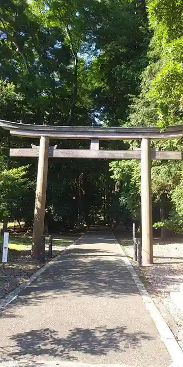 若狭彦神社(上社)の鳥居