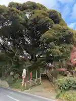 薬王寺(千葉県)