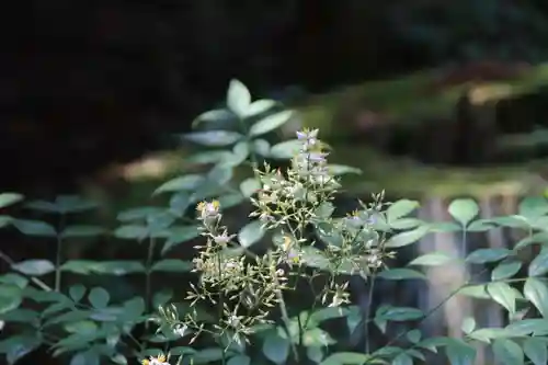 鹿島大神宮の自然