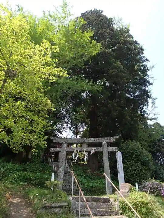 幡井神社の鳥居