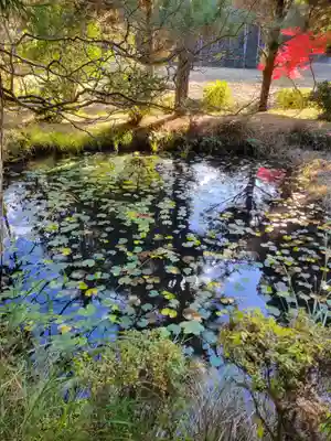 薬師寺(兵庫県)