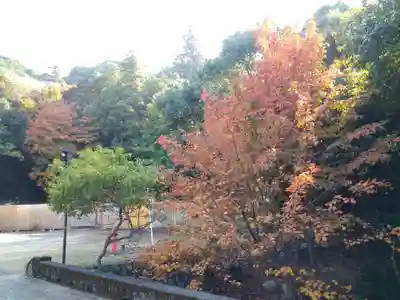 包ケ浦神社の自然