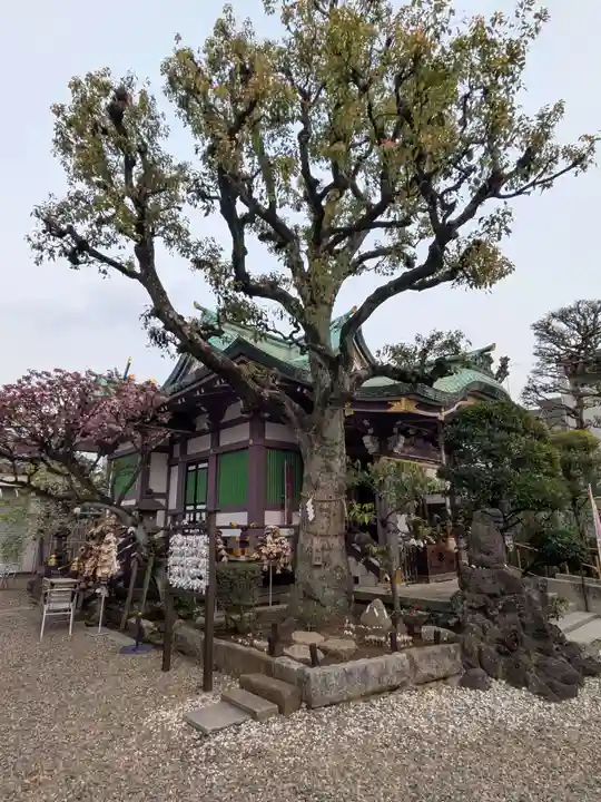 高木神社(東京都)