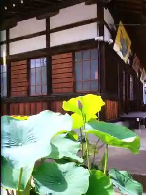 長善寺(東京都)