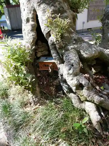 白羽神社の建物その他