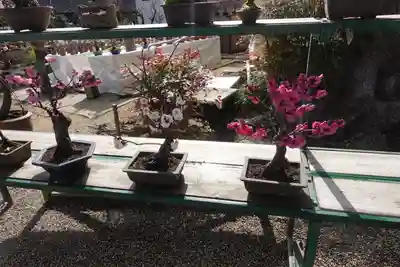 菅原天満宮（菅原神社）のその他建物