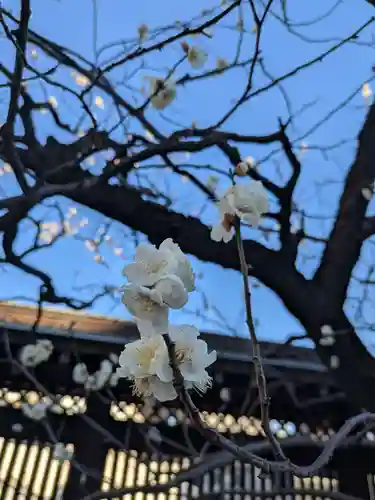 湯島天満宮(東京都)