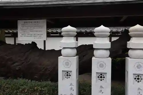 善通寺の建物その他