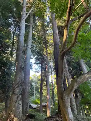 大宮温泉神社(栃木県)