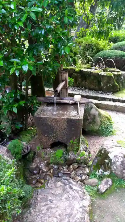 浄福寺の手水舎