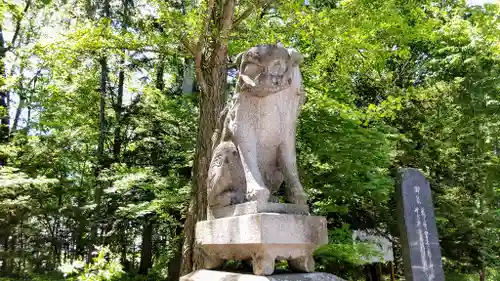 比布神社の狛犬