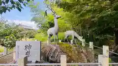 春日神社(滋賀県)