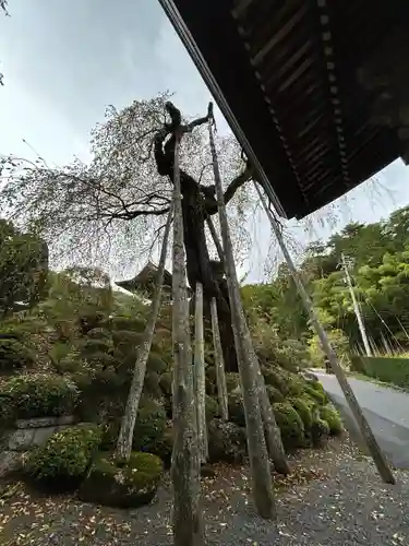 長興寺(長野県)