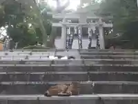 王子神社の動物