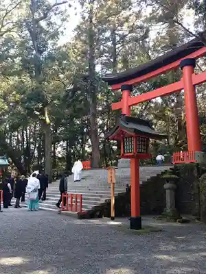 宇佐神宮(大分県)