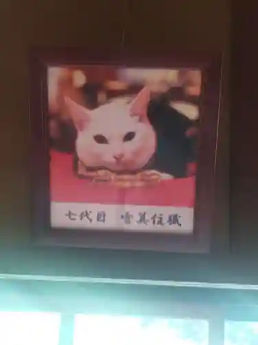 猫猫寺(京都府)