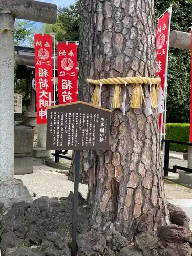 中野沼袋氷川神社(東京都)