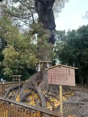 和泉國一之宮　大鳥大社の{uncategorized: "未分類", other: "その他", undefined: "問題あり", building: "その他建物", grave: "お墓", sacred_gate: "鳥居", guardian: "狛犬", statue: "像", buddha: "仏像", history: "歴史", nature: "自然", garden: "庭園", animal: "動物", pagoda: "塔", temizu: "手水舎", mountain_gate: "山門・神門", sanctuary: "本殿・本堂", subordinate: "末社・摂社", art: "芸術", scenery: "景色", jizo: "地蔵", ema: "絵馬", goshuin: "御朱印", omikuji: "おみくじ", items: "授与品その他", amulet: "お守り", goshuincho: "御朱印帳", eats: "食事", festival: "お祭り", votive_dance: "神楽", shichigosan: "七五三参", wedding: "結婚式", experience: "体験その他", initially: "初詣", around: "周辺", anti_infection: "感染症対策"}