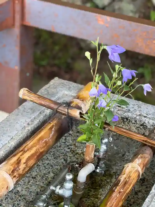 伊香保神社(群馬県)
