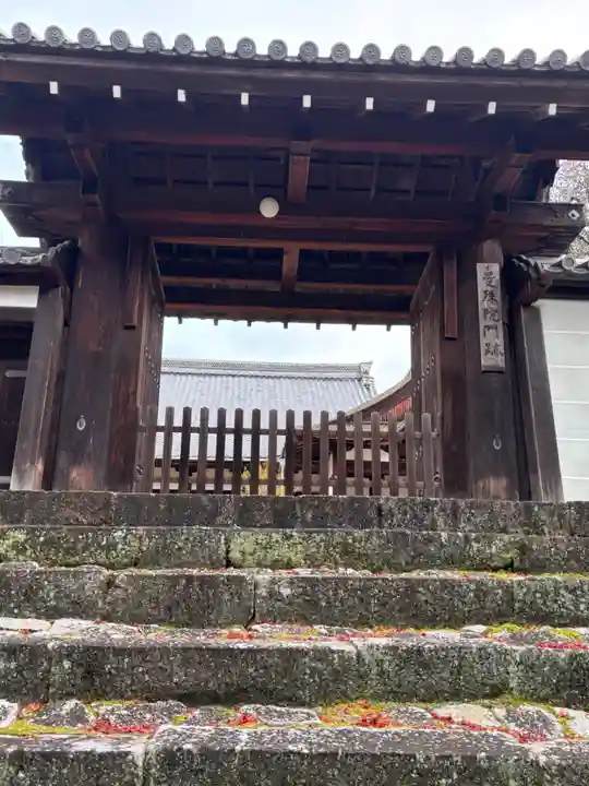 曼殊院門跡(京都府)