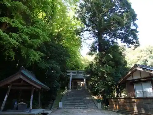 宗形神社の建物その他