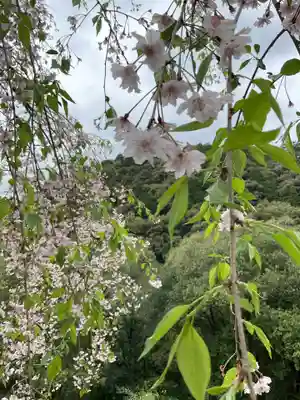 日龍峯寺(高澤観音)(美濃清水)(岐阜県)
