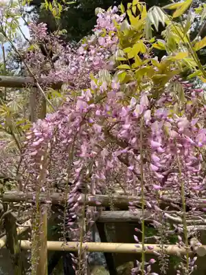 歌泉堂（春日大社神苑萬葉植物園内鎮座）(奈良県)