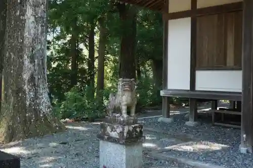 奥泉大井神社の狛犬