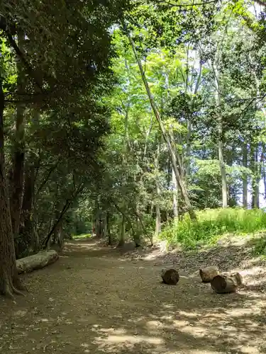 谷保天満宮の自然