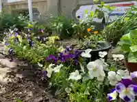 三輪神社の自然