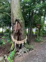 磐根神社の建物その他