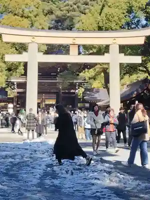 明治神宮(東京都)