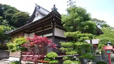 玉泉寺の本殿・本堂