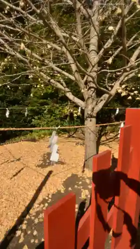 鶴岡八幡宮の自然