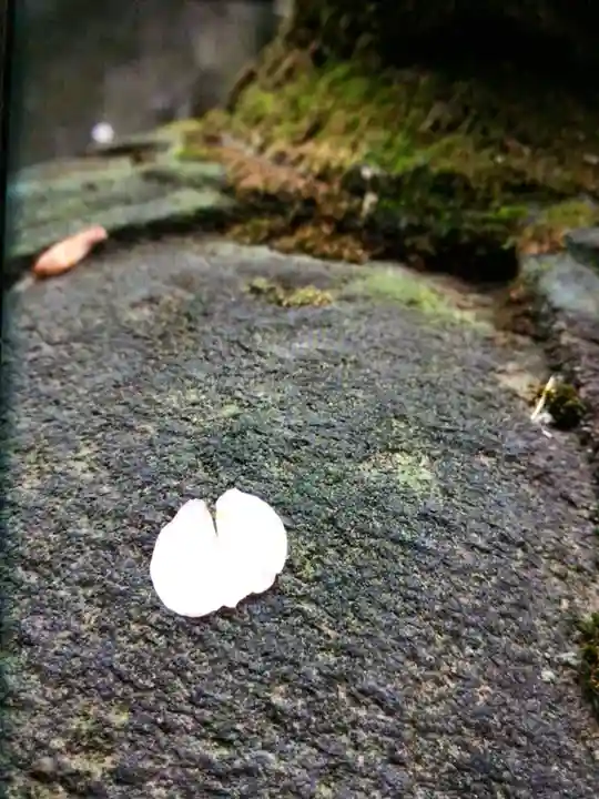 小野照崎神社(東京都)