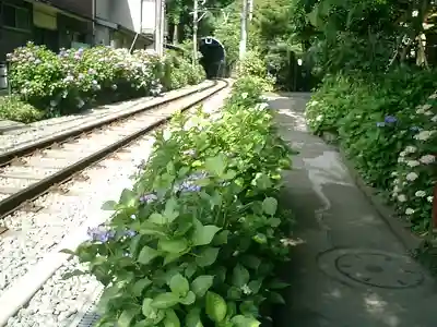 御霊神社の周辺