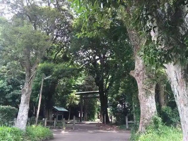 皇宮神社(宮崎神宮摂社)の自然