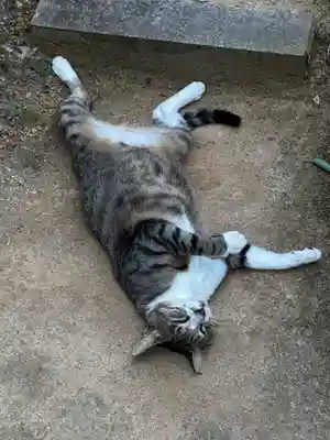 王子神社(徳島県)