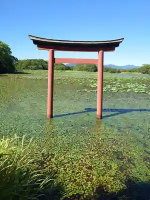 薦神社(大分県)