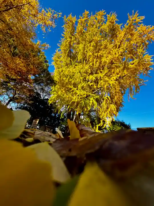 三栖神社(京都府)