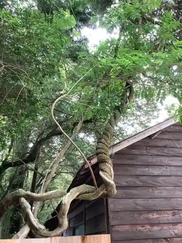 猿投神社の自然