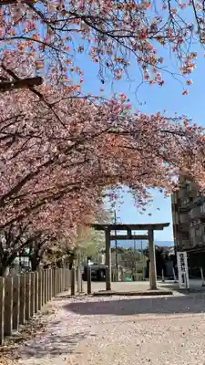 住吉神社(大阪府)