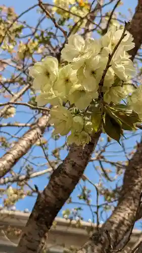 粟嶋堂宗徳寺の自然