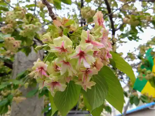 覚照寺(愛知県)
